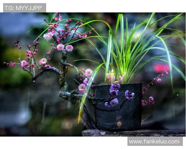 三十年代中国足球球星风云:从梅兰芳到李传科的传奇岁月 三十年代中国足球球星风云:从梅兰芳到李传科的传奇岁月